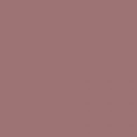 Краска Little Greene цвет NCS S 4020-R