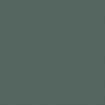 Краска Charmant цвет Green Darkness NC40-0930 Sommet 0.9 л