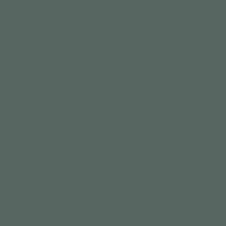 Краска Charmant цвет Green Darkness NC40-0930 Sommet 0.9 л