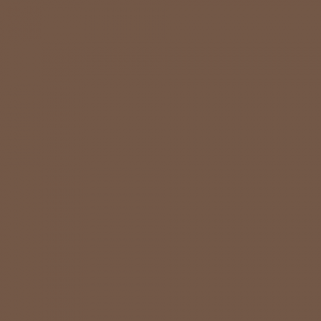 Краска Swiss Lake цвет Pale brown RAL 8025