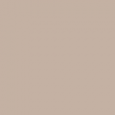 Краска Swiss Lake цвет Frappuccino NC24-0430