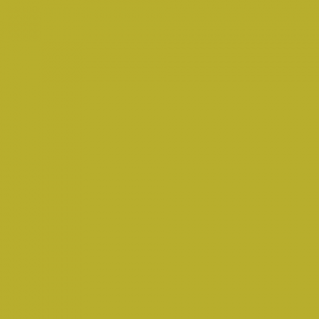 Краска Little Greene цвет NCS S 2060-G80Y