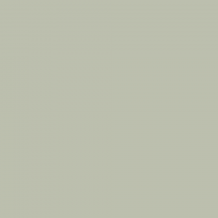 Краска Charmant цвет Green Copper NC34-0722 Sommet 0.9 л