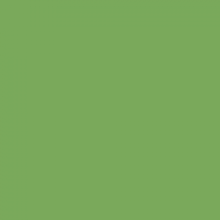 Краска Little Greene цвет NCS S 2050-G30Y