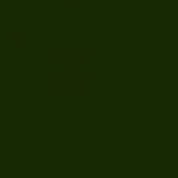 Краска Argile цвет Spiruline V33 Mat Veloute 0.125 л