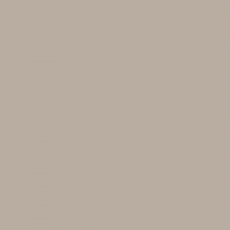 Краска Charmant цвет Grey Gull NC23-0409 Sommet 0.9 л