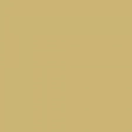 Краска Little Greene цвет NCS S 2030-Y