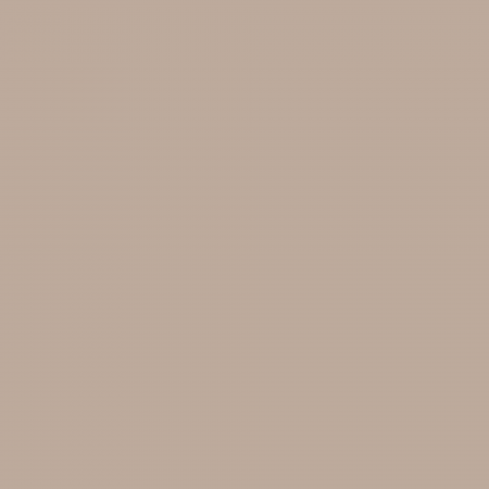 Краска Charmant цвет Chocolate Latte NC24-0421 Sommet 0.9 л