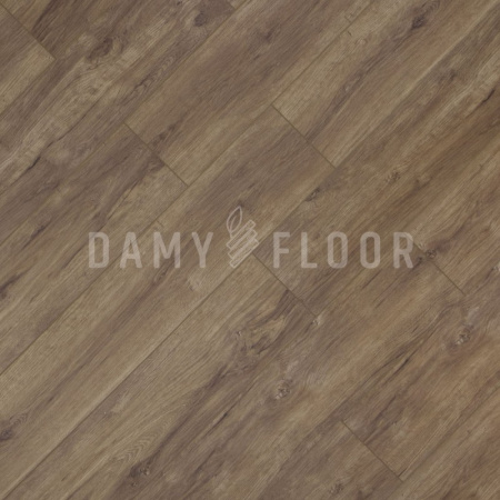 SPC ламинат Damy Floor Family 248-8 Дуб Имбирный