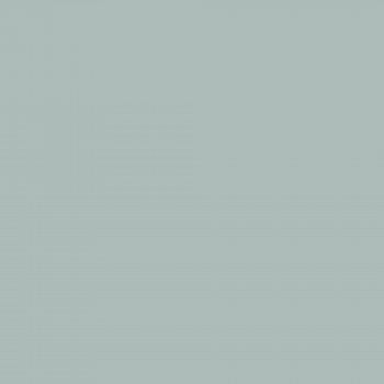 Краска Hygge цвет Juniper HG05-014 Fleurs 0.4 л
