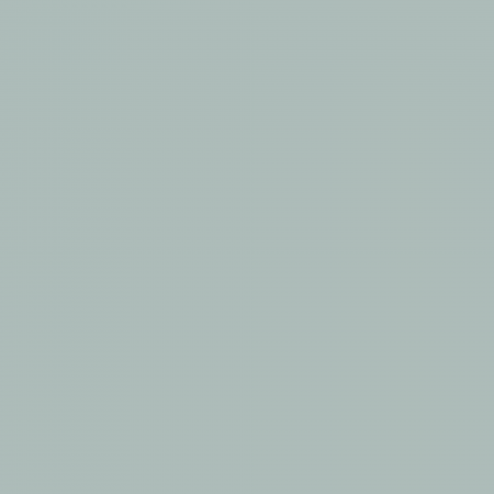 Краска Hygge цвет Juniper HG05-014 Fleurs 0.4 л