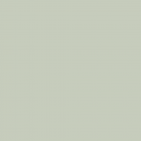 Краска Charmant цвет Turquoise Fog NC36-0792 Sommet 0.9 л