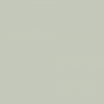 Краска Charmant цвет Sage Grey NC34-0736 Sommet 0.9 л
