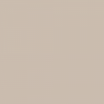 Краска Charmant цвет Dry Bark NC17-0224 Sommet 0.9 л