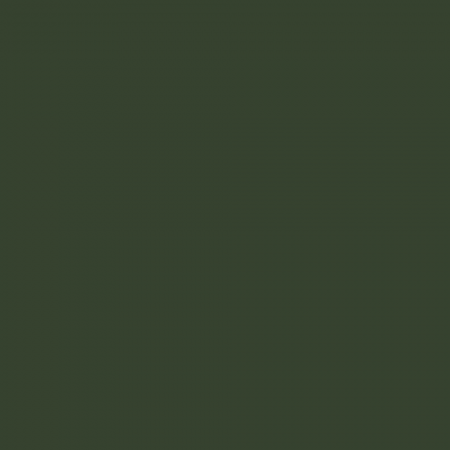 Краска Charmant цвет RAL Chrome green 6020 Sommet 0.9 л