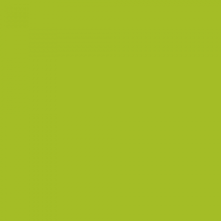 Краска Little Greene цвет NCS S 1070-G50Y