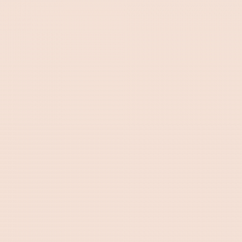 Краска Charmant цвет Air Beige NC31-0645 Sommet 0.9 л