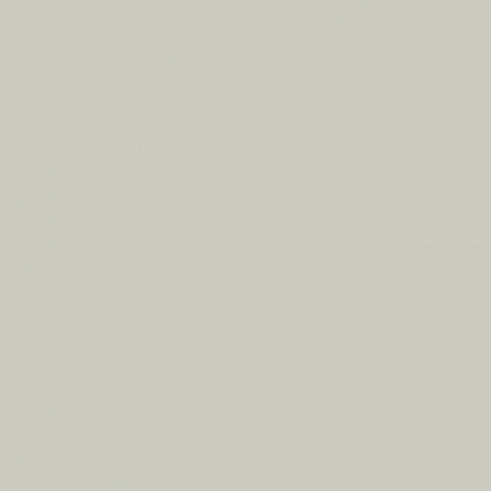 Краска Zoffany цвет Platinum Grey