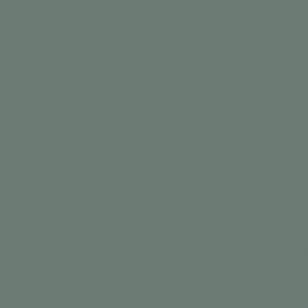 Краска Charmant цвет Dramatic Green NC35-0773 Sommet 0.9 л