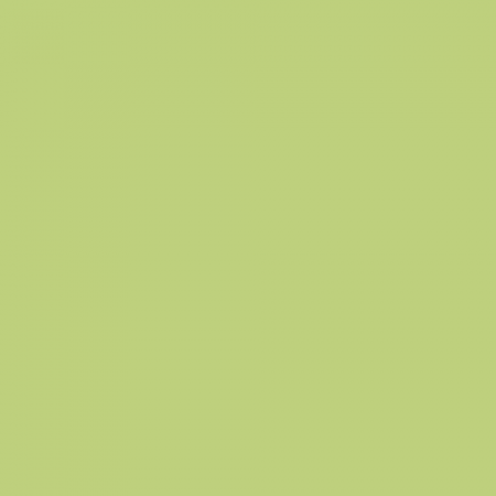 Краска Little Greene цвет NCS S 1040-G50Y