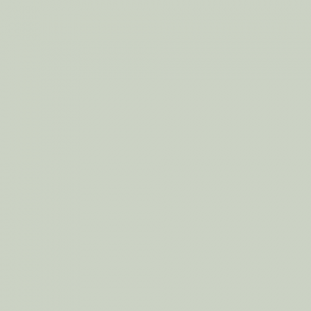Краска Swiss Lake цвет Puritan Gray SL-2632