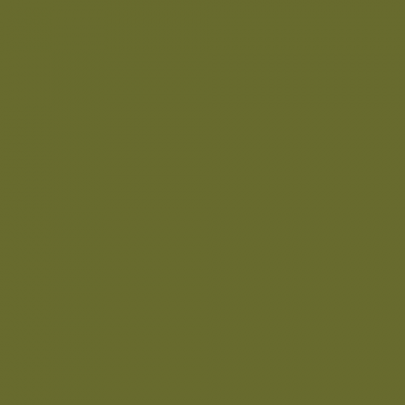 Краска Little Greene цвет NCS S 5040-G60Y