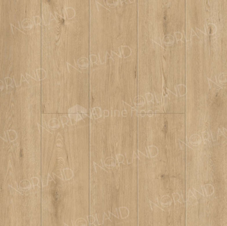 Виниловый пол Norland клеевой Sigrid LVT 1003-3 Dor