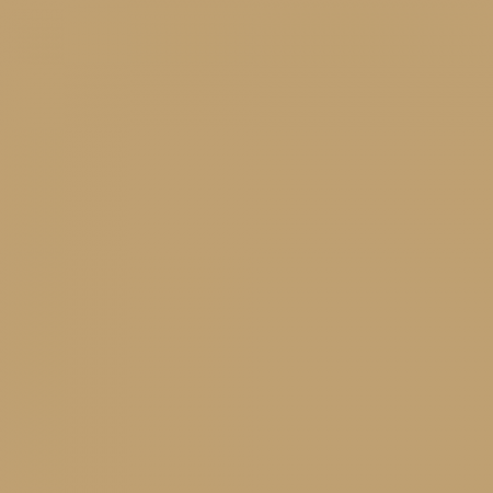 Краска Swiss Lake цвет Camel SL-0900