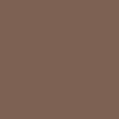 Краска Swiss Lake цвет Sweet Caramel NC25-0469