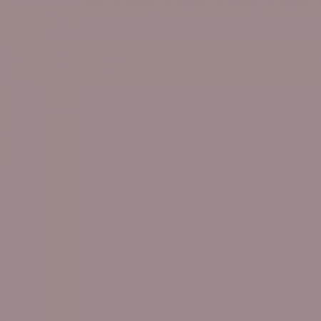 Краска Little Greene цвет NCS S 4010-R10B