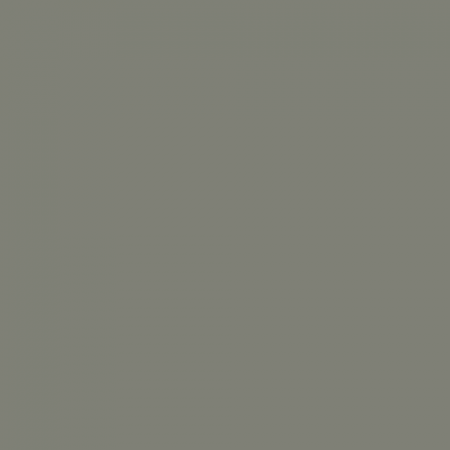 Краска Little Greene цвет Concrete grey RAL 7023