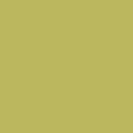 Краска Little Greene цвет NCS S 2040-G70Y