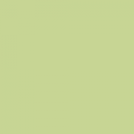 Краска Little Greene цвет NCS S 1030-G50Y