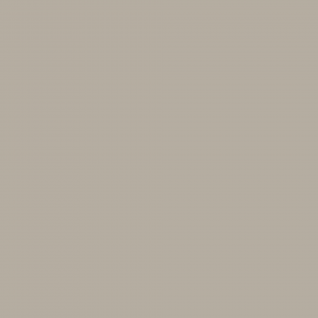 Краска Hygge цвет Unpeeled Ginger HG05-028 Fleurs 0.4 л