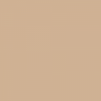 Краска Charmant цвет Nutmeg Coffee NC21-0353 Sommet 0.9 л