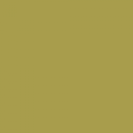 Краска Little Greene цвет NCS S 3040-G80Y