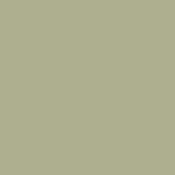 Краска Charmant цвет Olive Groves NC38-0864 Sommet 0.9 л
