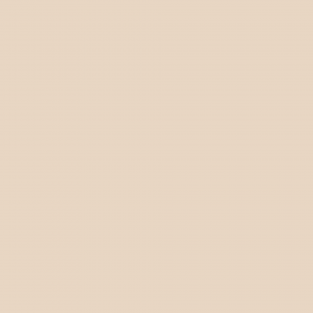 Краска Hygge цвет Aged Paper HG02-009 Fleurs 0.4 л