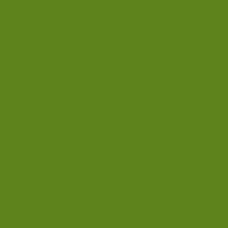 Краска Little Greene цвет NCS S 3065-G40Y