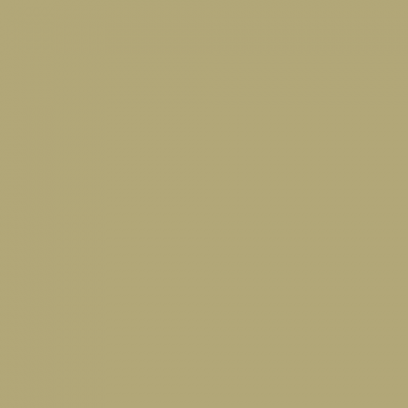 Краска Little Greene цвет NCS S 3020-G90Y