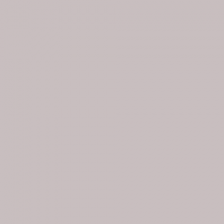 Краска Little Greene цвет NCS S 2005-R10B