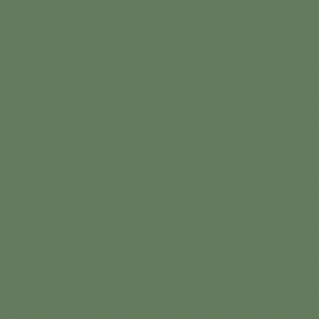 Краска Little Greene цвет NCS S 5020-G30Y