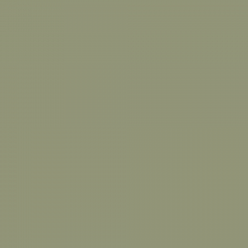 Краска Charmant цвет Chrysolite NC36-0783 Sommet 0.9 л