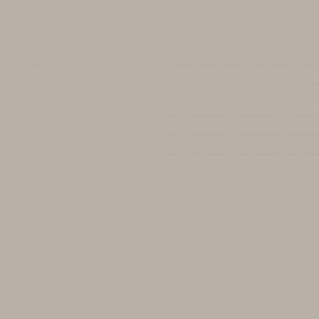 Краска Hygge цвет Chocolate Latte HG08-011 Fleurs 0.4 л