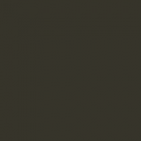 Краска Swiss Lake цвет Brown green RAL 6008