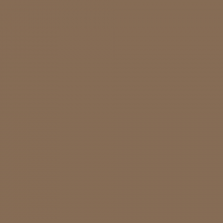 Краска Charmant цвет Caramel Syrup NC25-0471 Sommet 0.9 л