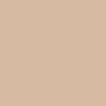 Краска Charmant цвет Summer Tan NC18-0269 Sommet 0.9 л