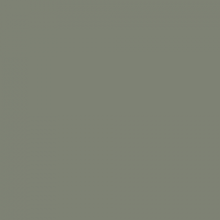 Краска Little Greene цвет Cement grey RAL 7033