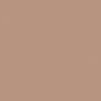 Краска Charmant цвет Baileys Irish Cream NC22-0386 Sommet 0.9 л