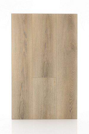 SPC ламинат FirstFloor Белый дикий лес